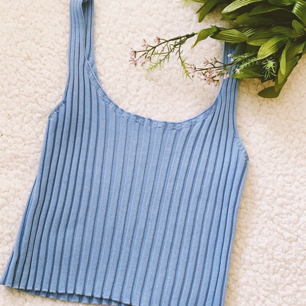 Periwinkle Crop Top